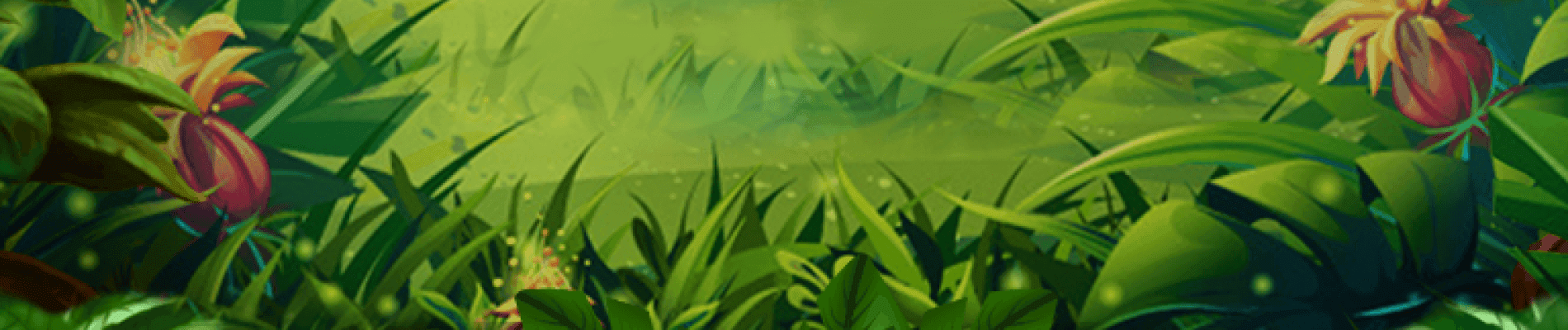 King of Lion Background